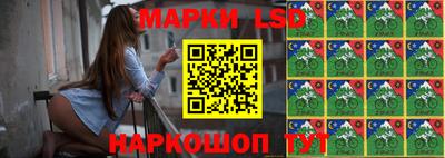 шишки Вязники