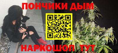 шишки Вязники