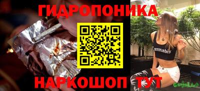 шишки Вязники