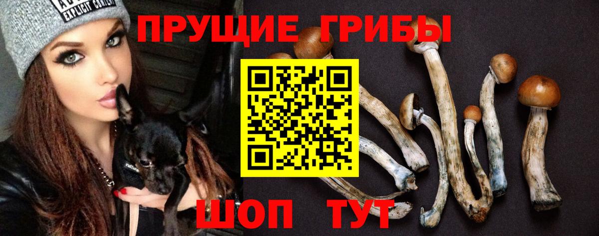Галлюциногенные грибы GOLDEN TEACHER Братск